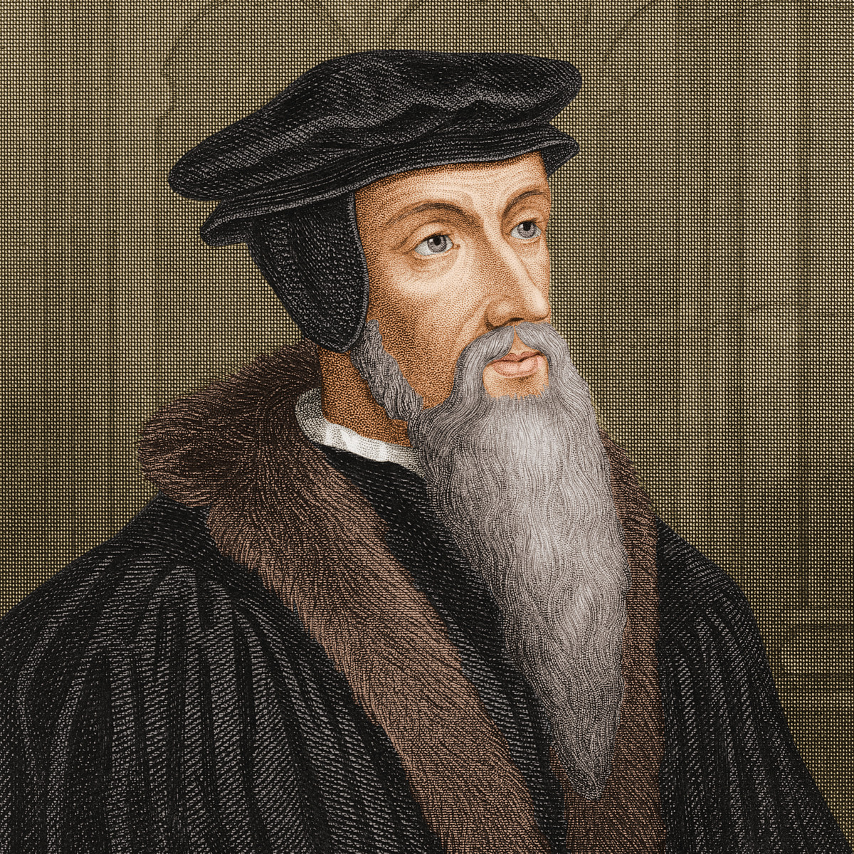 Author John Calvin